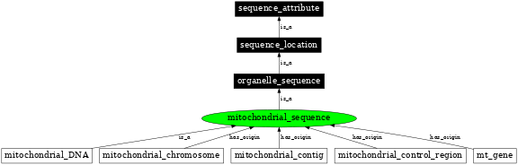 Graph image for SO:0000737