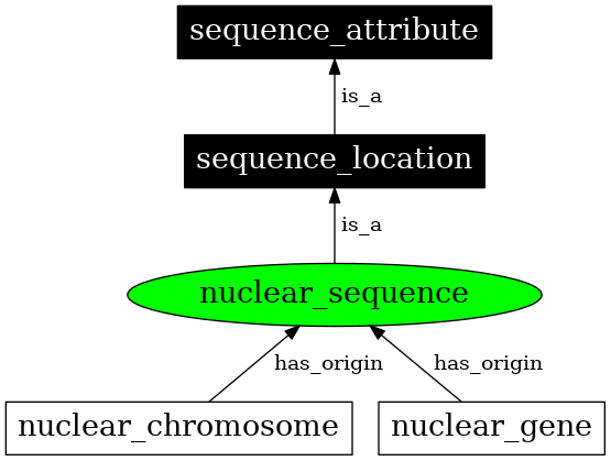 Graph image for SO:0000738