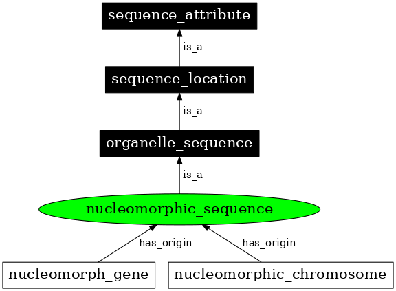 Graph image for SO:0000739