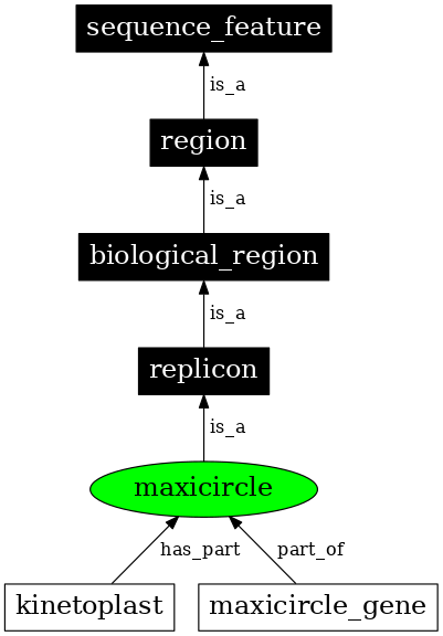 Graph image for SO:0000742