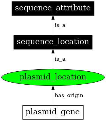 Graph image for SO:0000749