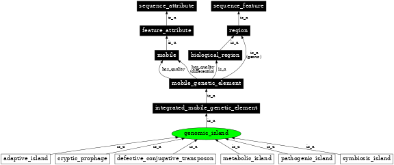 Graph image for SO:0000772