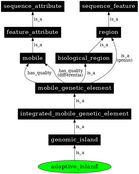 Graph image for SO:0000775