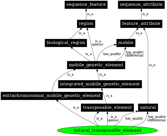 Graph image for SO:0000797