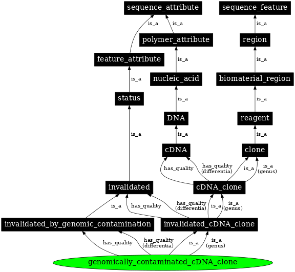 Graph image for SO:0000811