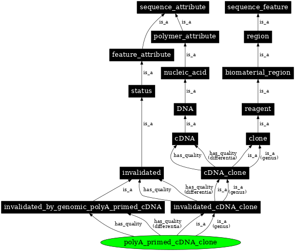 Graph image for SO:0000812