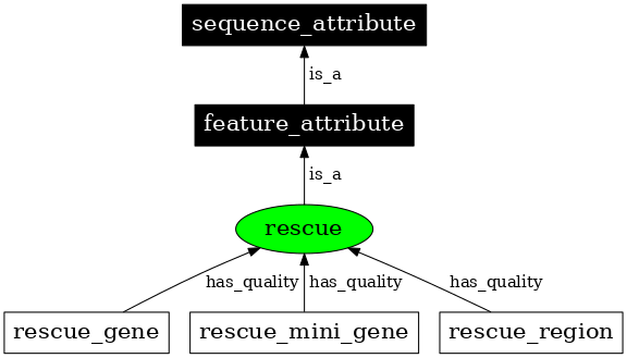 Graph image for SO:0000814