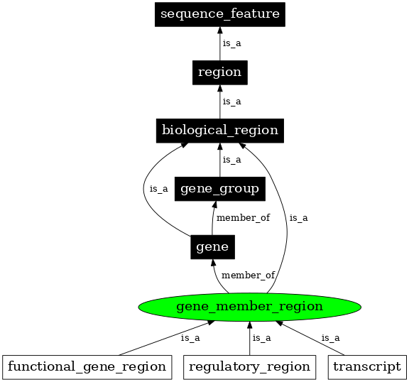 Graph image for SO:0000831