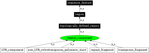 Graph image for SO:0000840