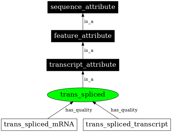 Graph image for SO:0000870