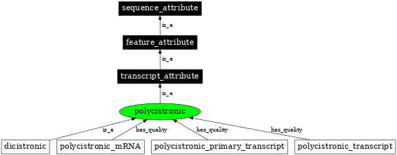 Graph image for SO:0000880