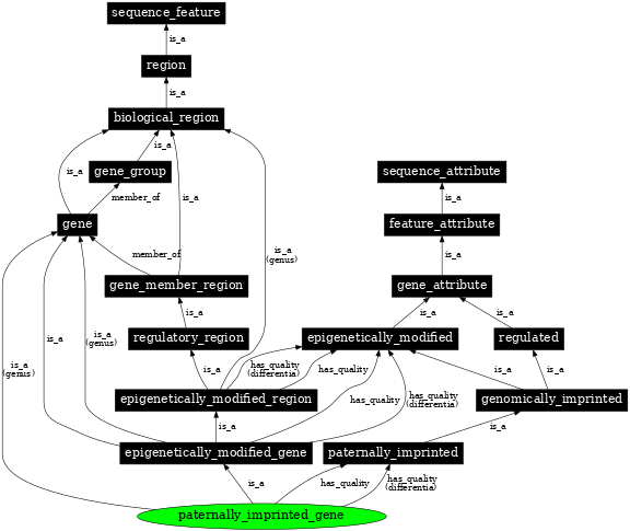 Graph image for SO:0000889