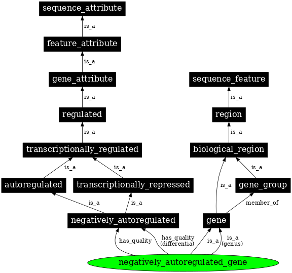 Graph image for SO:0000891