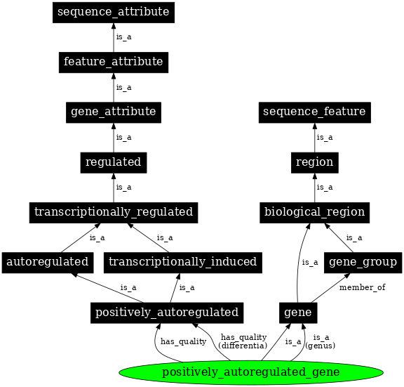 Graph image for SO:0000892