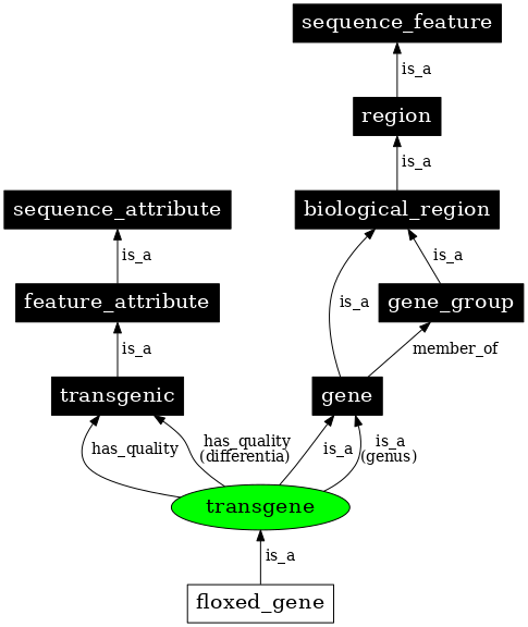 Graph image for SO:0000902