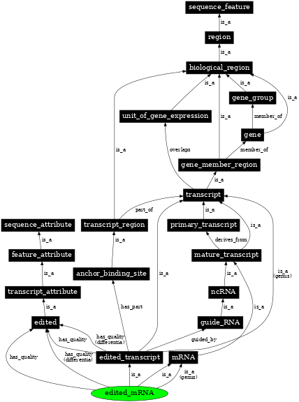 Graph image for SO:0000929