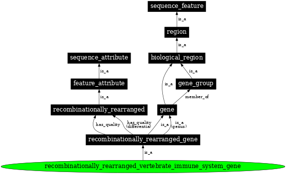 Graph image for SO:0000941