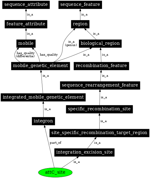 Graph image for SO:0000950