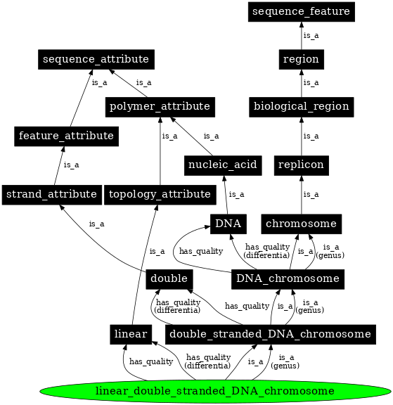 Graph image for SO:0000957