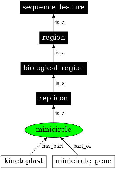 Graph image for SO:0000980