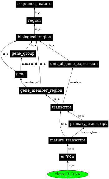 Graph image for SO:0000989