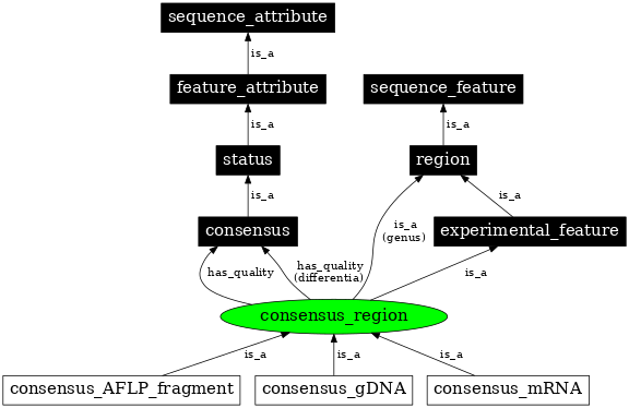 Graph image for SO:0000994