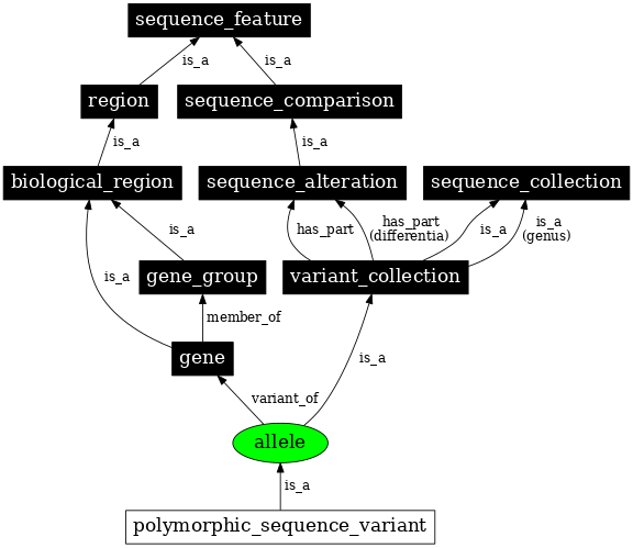 Graph image for SO:0001023