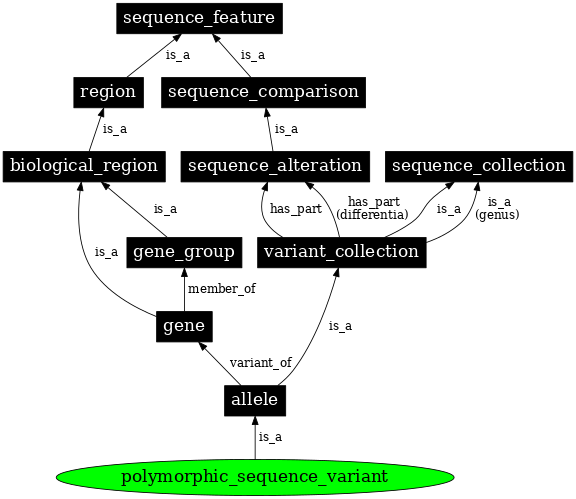 Graph image for SO:0001025