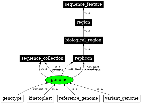 Graph image for SO:0001026