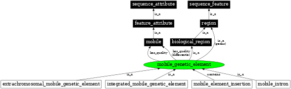 Graph image for SO:0001037