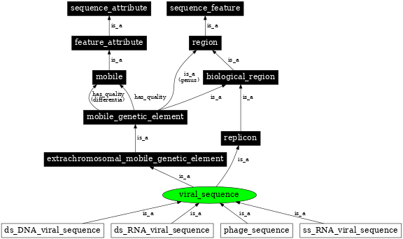 Graph image for SO:0001041