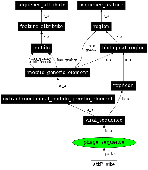 Graph image for SO:0001042