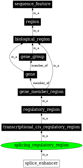 Graph image for SO:0001056