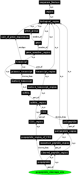 Graph image for SO:0001061