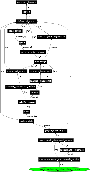 Graph image for SO:0001074