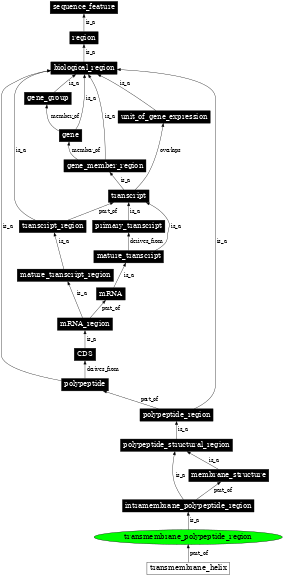 Graph image for SO:0001077