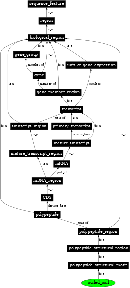 Graph image for SO:0001080