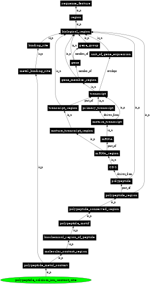 Graph image for SO:0001094