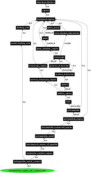 Graph image for SO:0001096