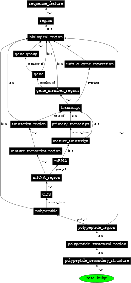 Graph image for SO:0001107