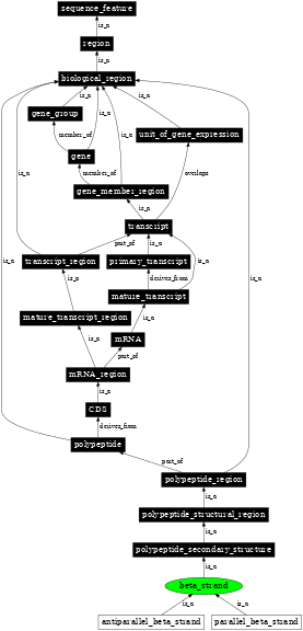 Graph image for SO:0001111