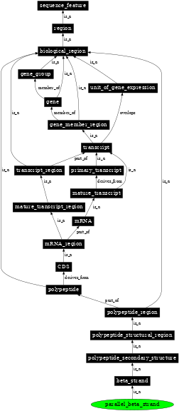 Graph image for SO:0001113