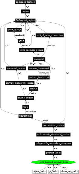 Graph image for SO:0001116