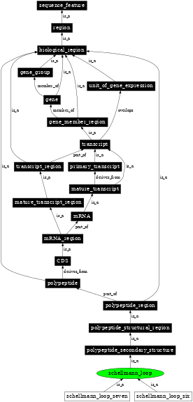 Graph image for SO:0001123