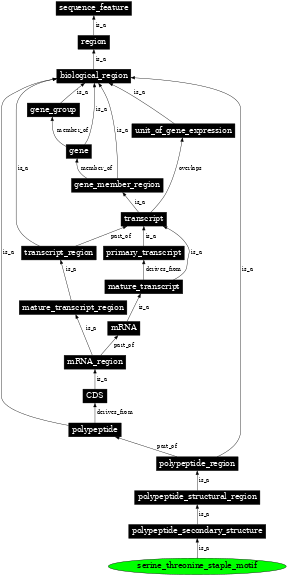 Graph image for SO:0001127