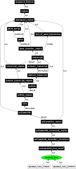 Graph image for SO:0001138