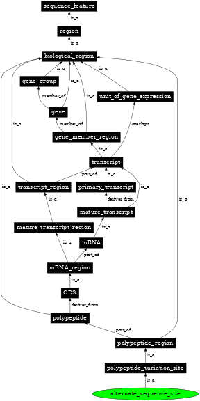 Graph image for SO:0001149