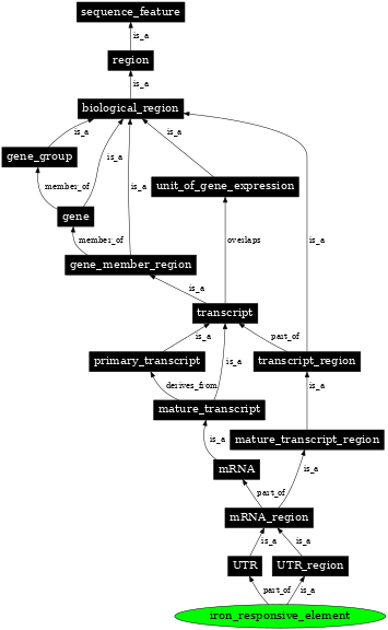 Graph image for SO:0001182