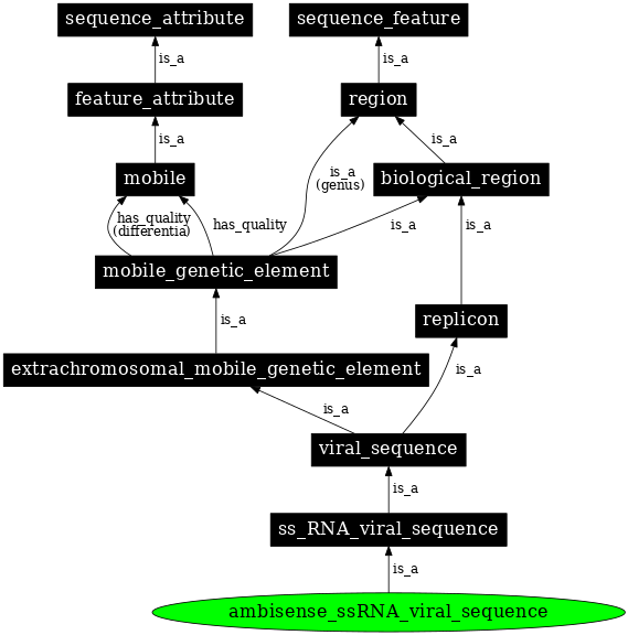 Graph image for SO:0001202