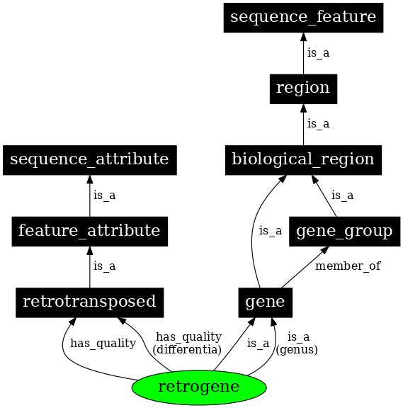 Graph image for SO:0001219